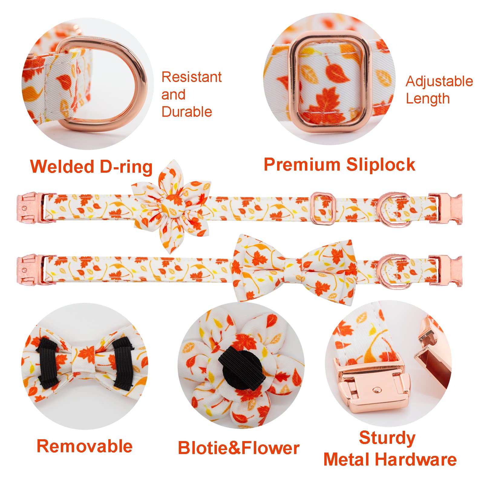 Amazon | 犬の首輪とリードセット 調節可能 強力ゴールドバックル